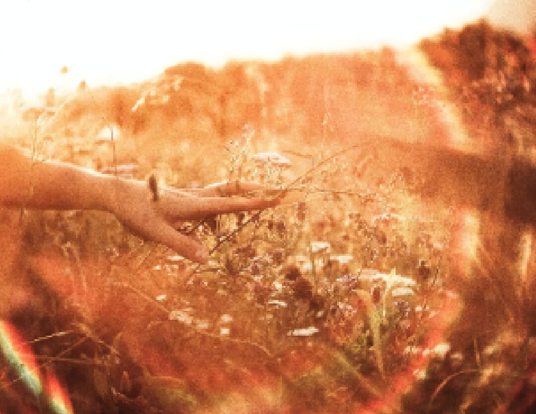 Healing Sessions - aura clearing
